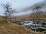 04_Nov_07 <br> November Mists