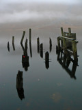 04_Nov_07b <br> Stumps of the old pier