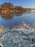 19_Dec_07 <br> Cold and Frosty