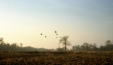 LZ 3