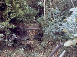 234 track