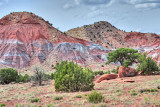 Painted Desert Scene