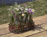 Bottled Flowers
