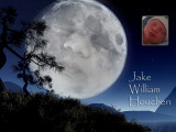 baby moon