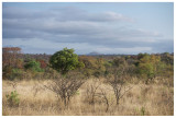 Krugerpark