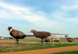  Gladstone, ND