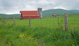  Grassy Cove Barn