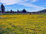  Santa Rosa Mountains