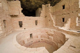  Spruce Tree House