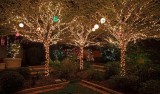 Florida Botanical Gardens