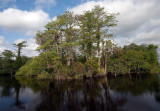  Everglades