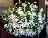 Floral Display