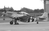 P51.jpg