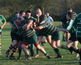 Mogie Drive