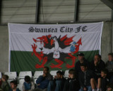 Swansea Flag