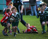 Swansea Uplands U9 v Furnace U9