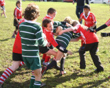 Swansea Uplands U9 v Furnace U9