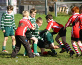 Swansea Uplands U9 v Furnace U9