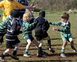 Daniel Tackle