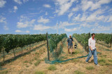 Owners Mike & Charlie, offering us a taste from the vine