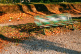 _MG_6091 park bench.JPG