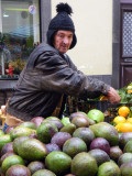 Avocado Seller