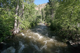 Mad River Looking A Bit  Mad  With Spring Run Off