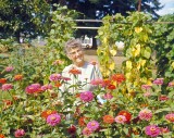 Gramma Dodge In Her Flower Garden,1968
