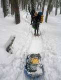 Looking Back,,, My Sled Behind Me