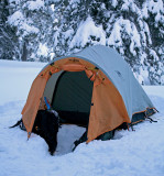 Jonathans Old Walrus Tent,,, Now Vintage