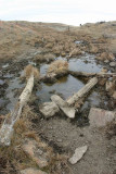Eastern Montana Drinking Water ( Natural Springs)