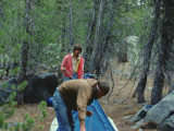 Canadians Setting Up Their Sierra Designs Glacier Tent At Mono Hot Springs