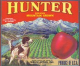 Hunter Brand   Welch  Apples ( Wenatchee Packing House)
