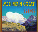  Mountain Goat ( Chelan )