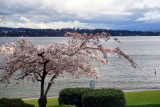 Lake front . Seattle, Washiington