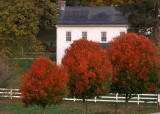 Farmhouse in Autumn