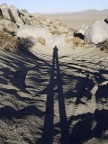 Long Shadow