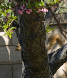 Peek A Boo, I See You!