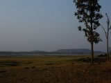 Pench view