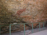 Red Kangroo ancient Aboriginal art at Burrunggui aka Nourlangie Rock