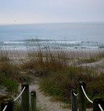 beach path