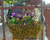 basket of beauty
