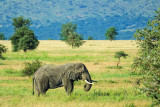 Tanzania 2005 0275.jpg