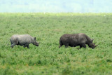 Tanzania 2010 241.jpg