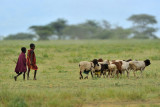 Tanzania 2010 642.jpg