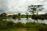 Tanzania 2010 1332.jpg