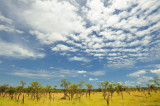 Tanzania 2010 1573.jpg