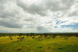 Tanzania 2010 1591.jpg
