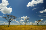 Tanzania 2010 1779.jpg