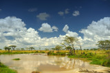 Tanzania 2010 1820.jpg